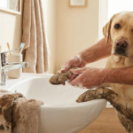 kindershampoo_voor_vieze_hondenpoten