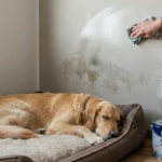 zwarte_vlekken_van_hond_op_muur